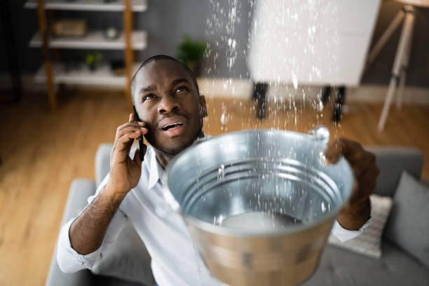Best Professional water damage repair  in Edgeworth, PA