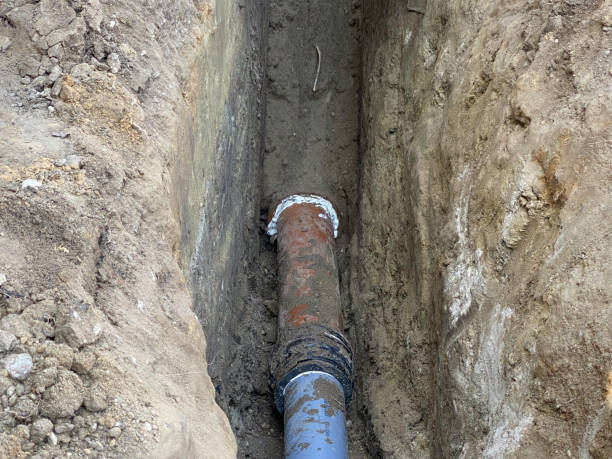 Best Professional water damage repair  in Edgeworth, PA