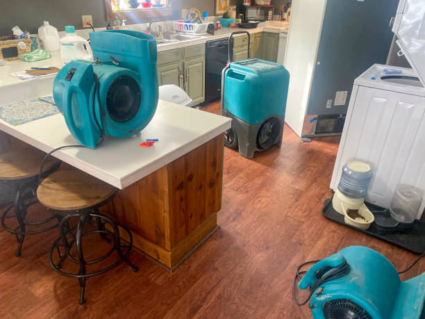 Best Water damage cleanup near me  in Edgeworth, PA