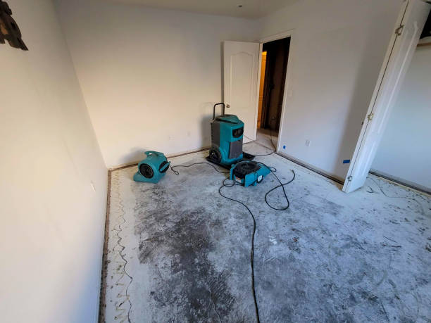 Best Ceiling water damage repair  in Edgeworth, PA