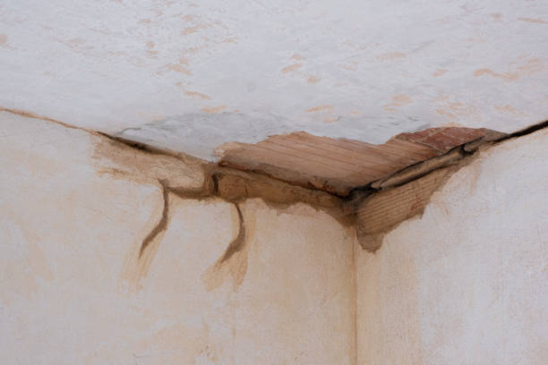 Best Water damage restoration experts  in Edgeworth, PA