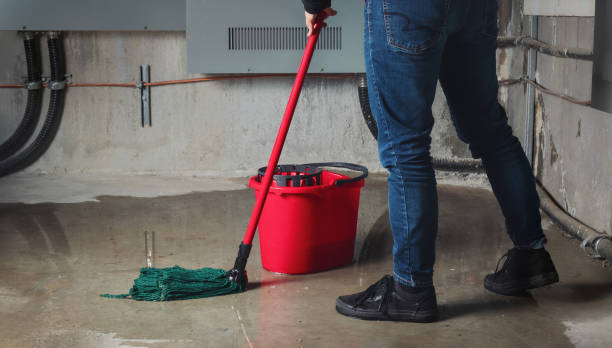 Best Water damage restoration process  in Edgeworth, PA