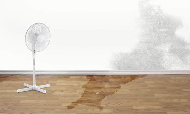 Best Flooded house restoration  in Edgeworth, PA
