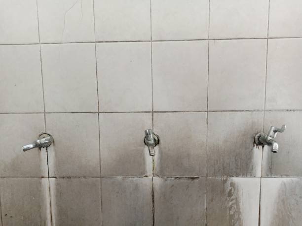 Best Carpet water damage restoration  in Edgeworth, PA