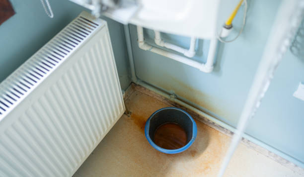 Best Mold removal after water damage  in Edgeworth, PA