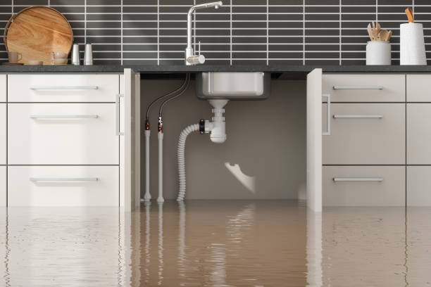 Best Residential water damage restoration  in Edgeworth, PA