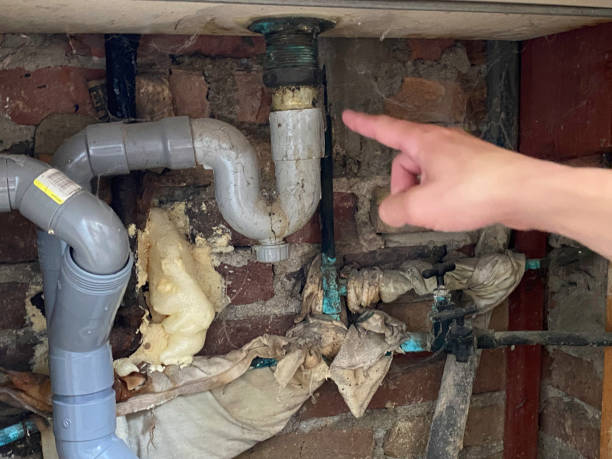 Reliable Edgeworth, PA Water damage restoration Solutions