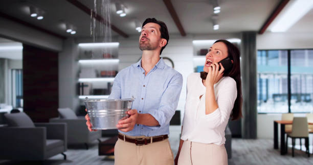 Best Sewage cleanup and water damage restoration  in Edgeworth, PA