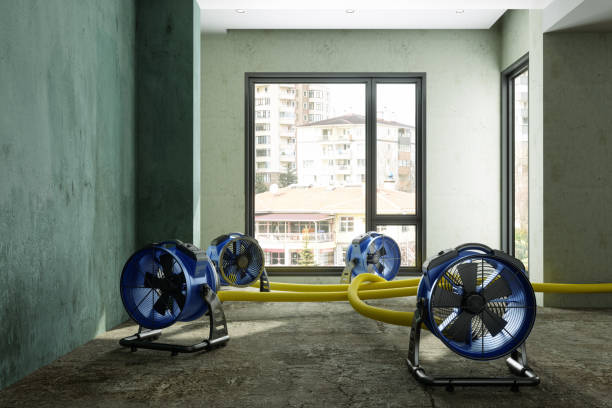 Best Local water damage restoration  in Edgeworth, PA