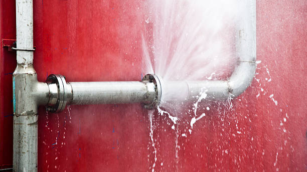 Best Professional water damage repair  in Edgeworth, PA